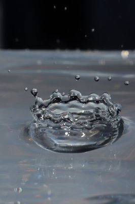 Couronne éclatante_4348865472_l.jpg